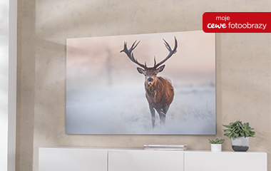 <h3>CEWE FOTOOBRAZ</h3>
<p>Fotoobraz wydrukowany na prawdziwym płótnie i naciągnięty na drewnianą ramę. Teraz Twoje ulubione zdjęcie może zaistnieć jako dzieło sztuki. </p>